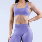 Load image into Gallery viewer, Matte Nylon Seamless Sports Bra
