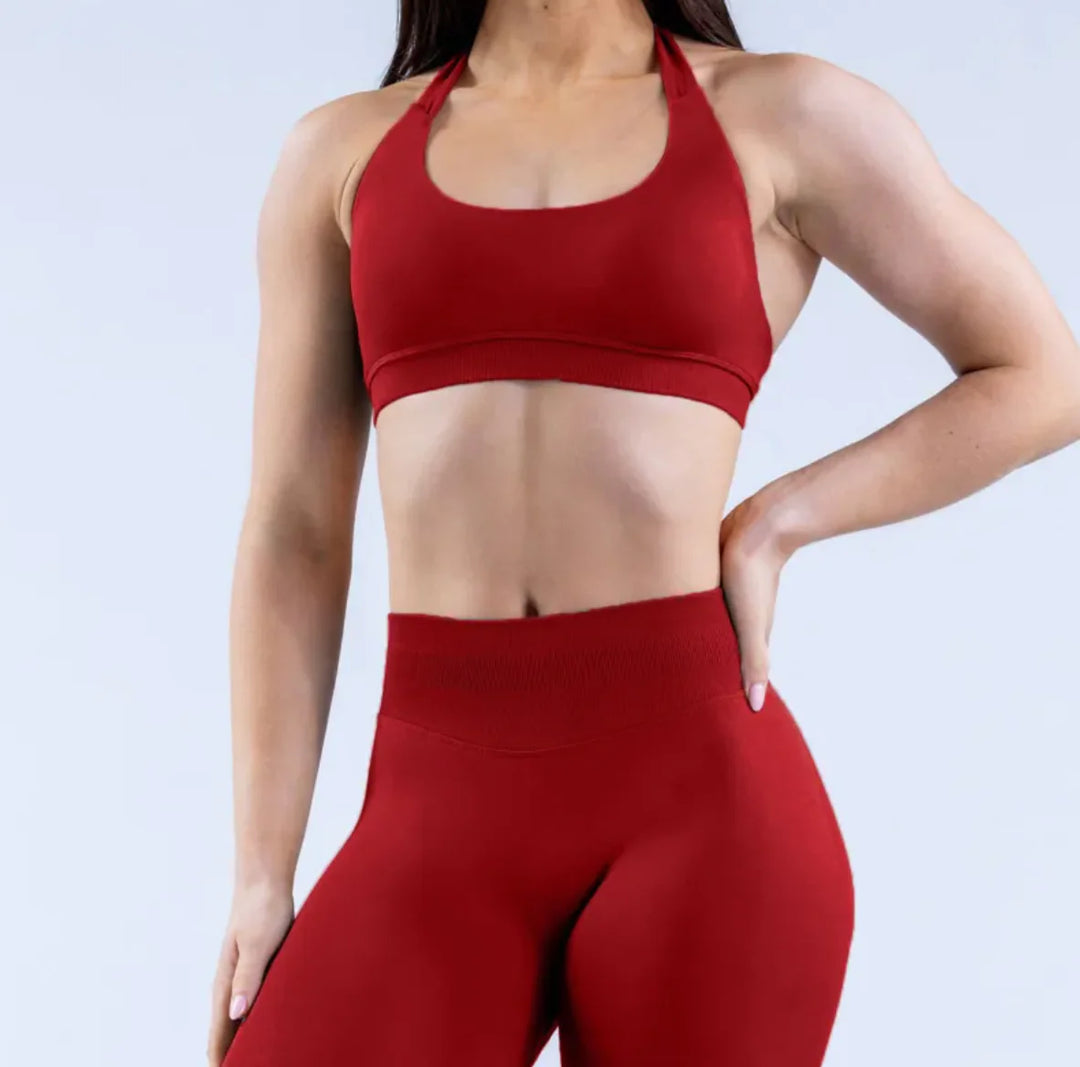 Matte Nylon Seamless Sports Bra