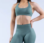 Load image into Gallery viewer, Matte Nylon Seamless Sports Bra
